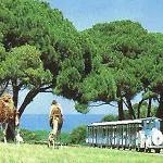 Grofica - Luxury And Romance With Heated Pool, Jacuzzi, Tavern And Proximity To The Sea, - Istria Pula