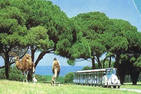 Grofica - Luxury And Romance With Heated Pool, Jacuzzi, Tavern And Proximity To The Sea, - Istria プーラ